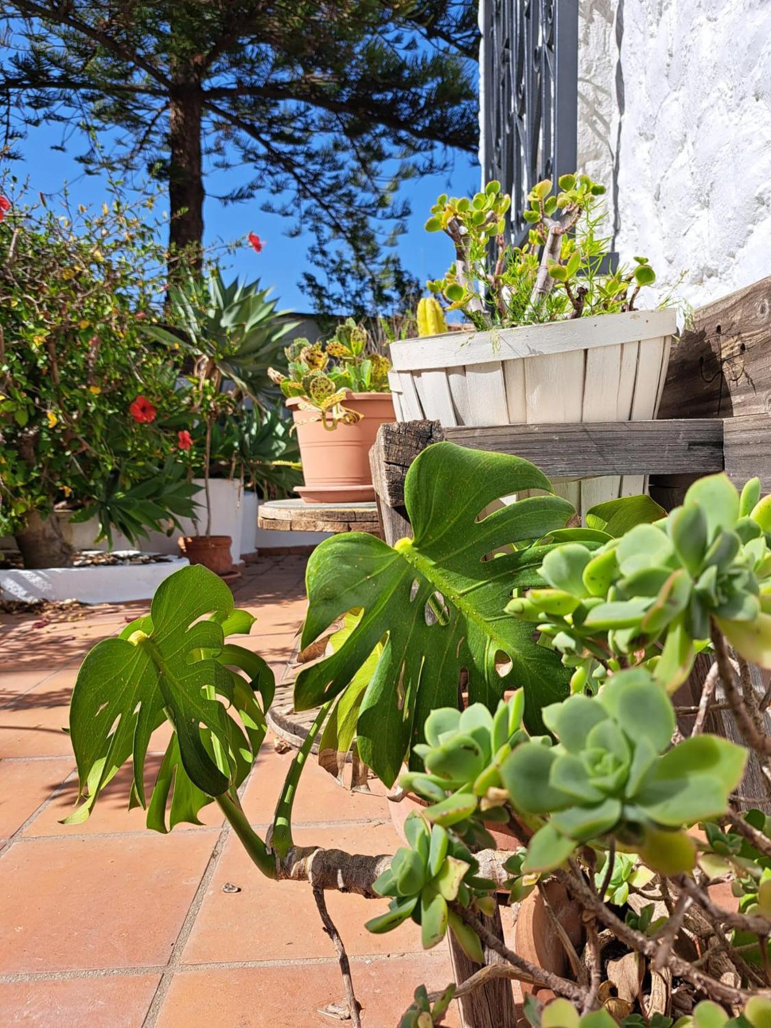 Casa Campo Mijas Costa Del Sol Málaga Exterior foto
